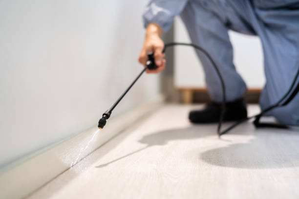 Bed Bug Pre-Treatment Preparation Assessment in Pearsall