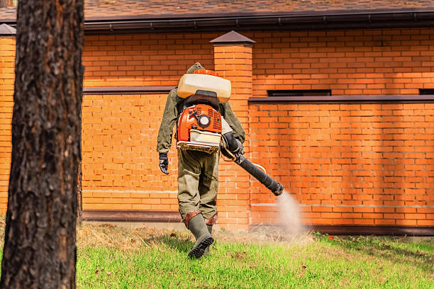 Bed Bug Clearance Verification and Documentation in Pearsall